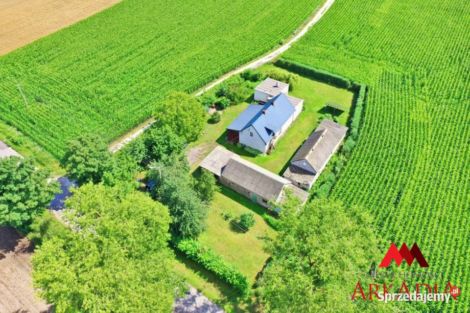 sprzedaży domu wolnostojącego Bodzanowo 364m2 Sprzedaż