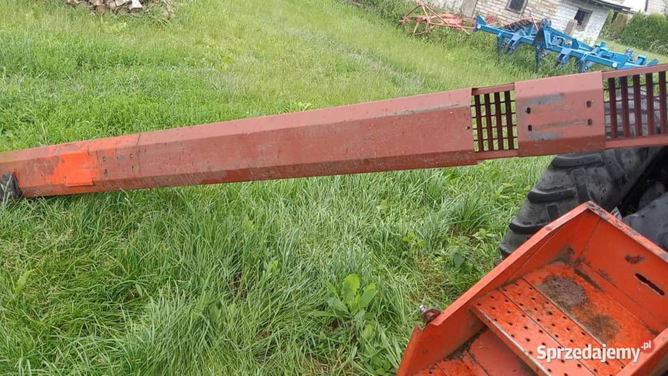 Wytrząsacz klawisz bizon zo56 Kramkówka Duża