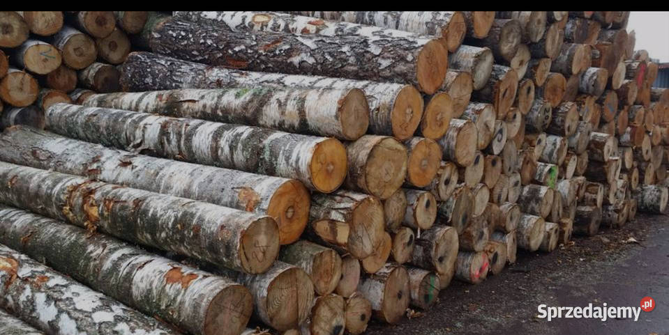 Drewno opałowe brzoza grabdab sosna akacja mazowieckie Ciechanów sprzedam