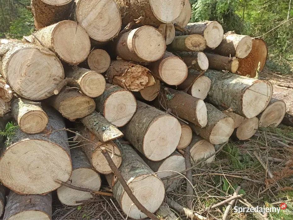 Drewno kominkowe opałowe kominka Jodła 1 4L Łódź sprzedam