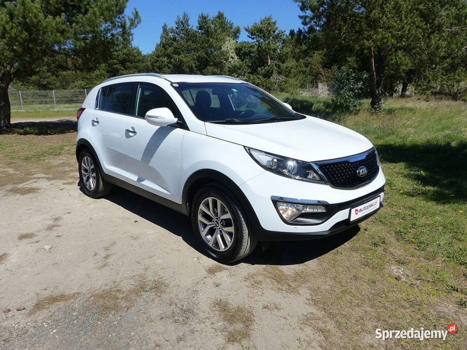 Kia Sportage 17 Piła