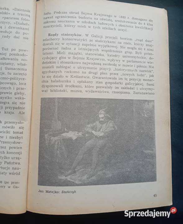 Alina NoferŁadyka Literatura polska okresu