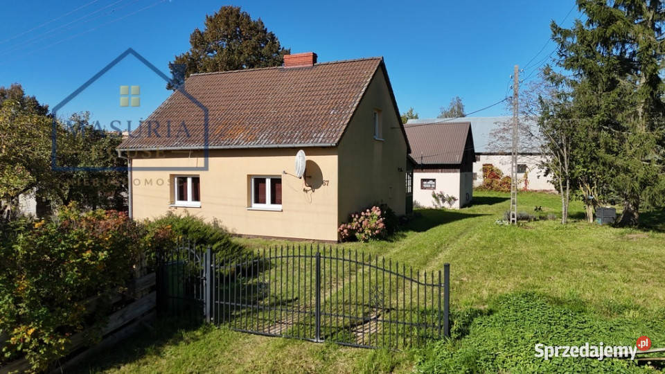 Siedlisko na sprzedaż Mikołajek niecałe 8 Sprzedaż