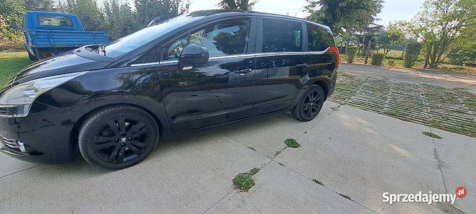 Peugeot 5008 pomorskie Malbork sprzedam