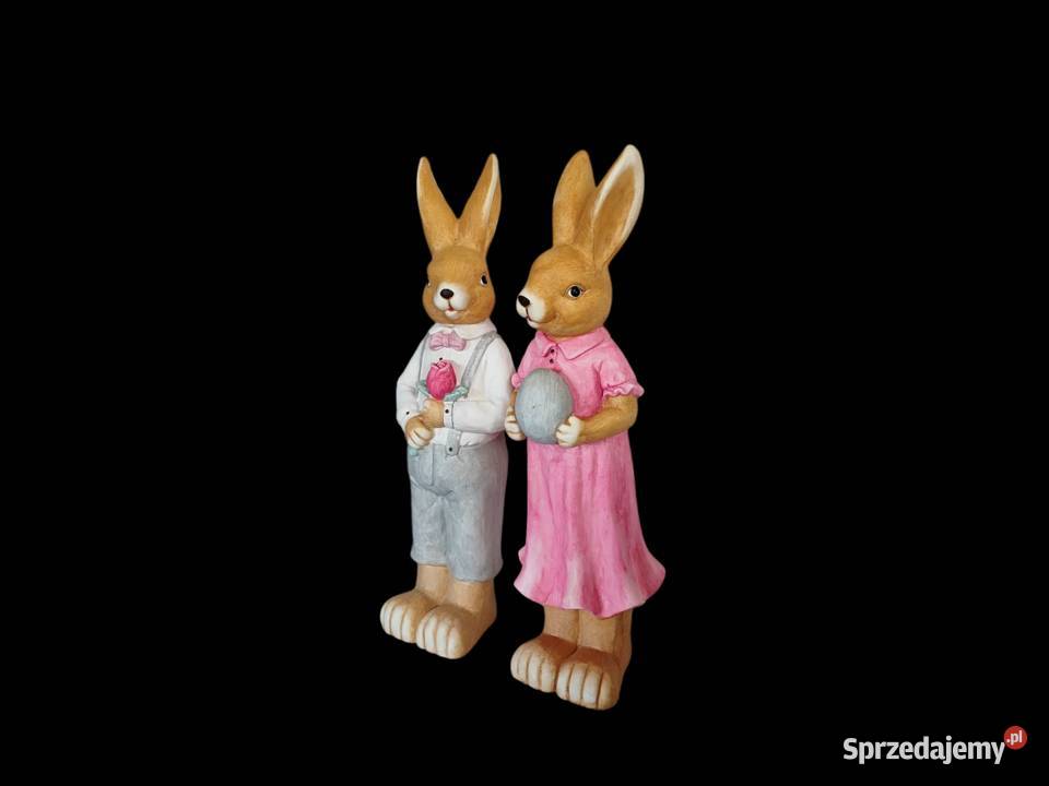 Zająć dziewczynka chłopiec XXL Dębica sprzedam