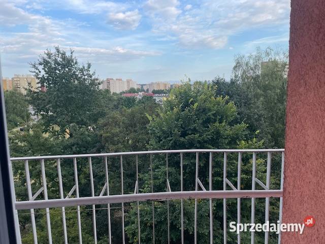 Sprzedam M6 w Jastrzębiu Zdroju centrum SUPER oddzielna kuchnia Jastrzębie-Zdrój