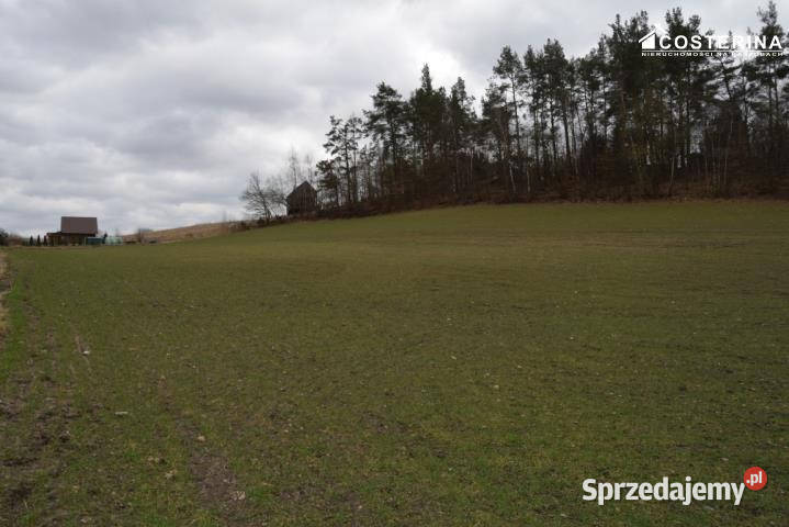 Działka Równe 14000m2 budowlana