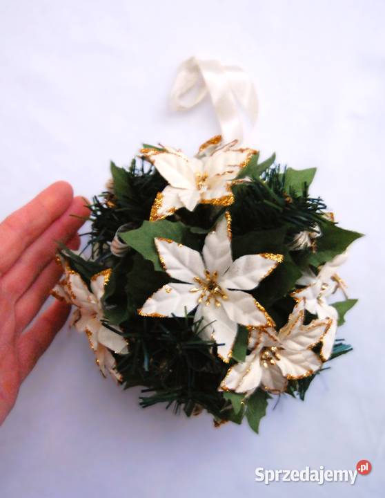 Kula roślinna biała gwiazda betlejemska Lublin