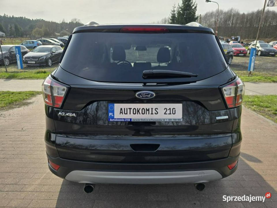 Ford Kuga Ford Kuga 15 Ecoboost 150 z niskim światła LED Cielcza