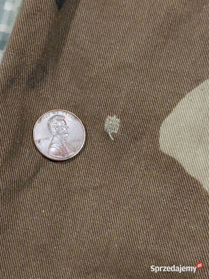 Spodnie bdu woodland small short NYCO Wrocław