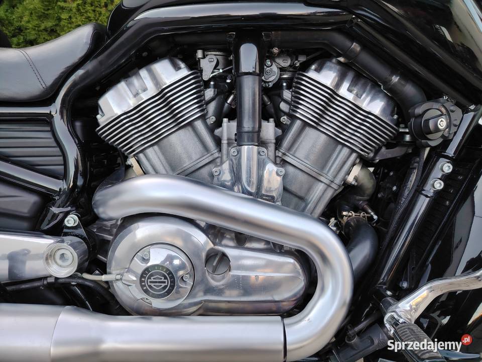 Harley davidson vrod muscle Szprotawa