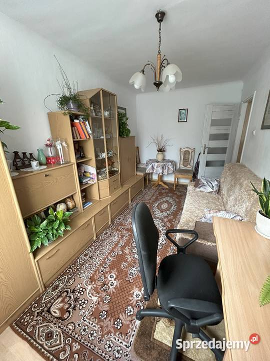 Sprzedam 3 pokojowe mieszkanie na oś Sady w piwnica Sprzedaż Kielce