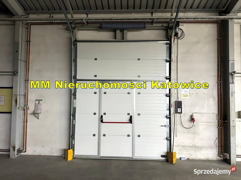 Hala magazynowoprodukcyjna 498 m poziom 0 parking Katowice