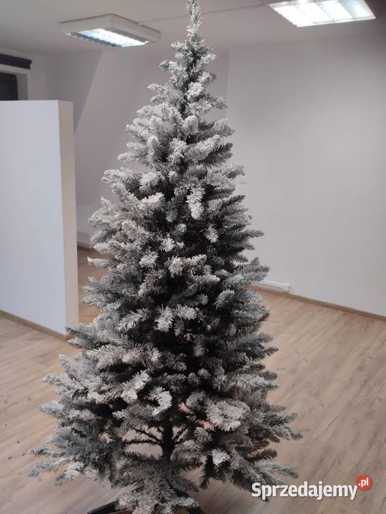 Choinka na święta Boże Narodzenie Jelenia Góra