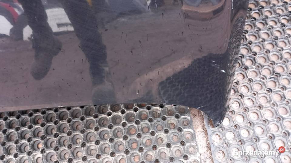 OPEL INSIGNIA A MASKA Z20R wielkopolskie Zbierkowo