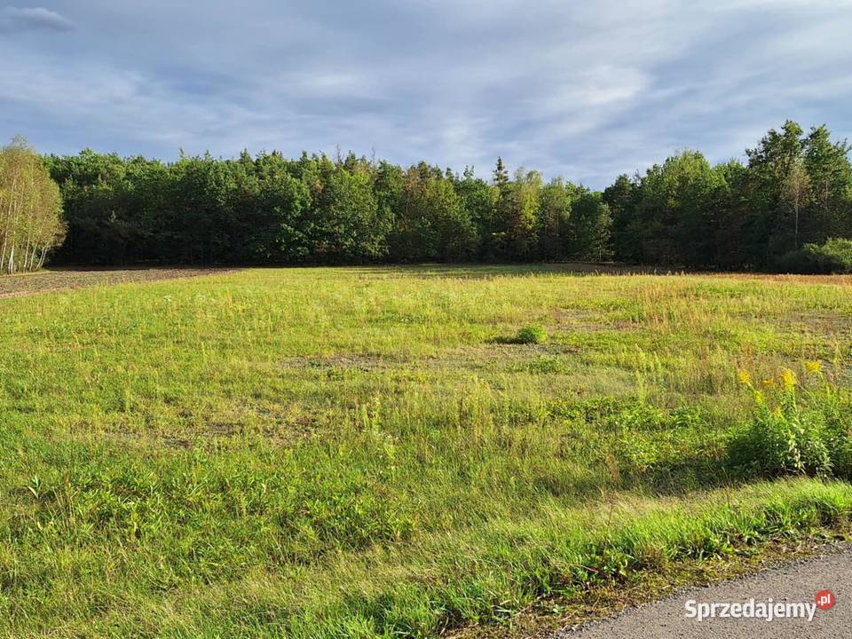 Działka budowlana Szczucin
