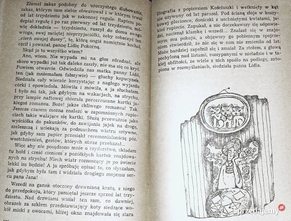 Rufin z przeceny Natalia Rolleczek lubelskie Chełm