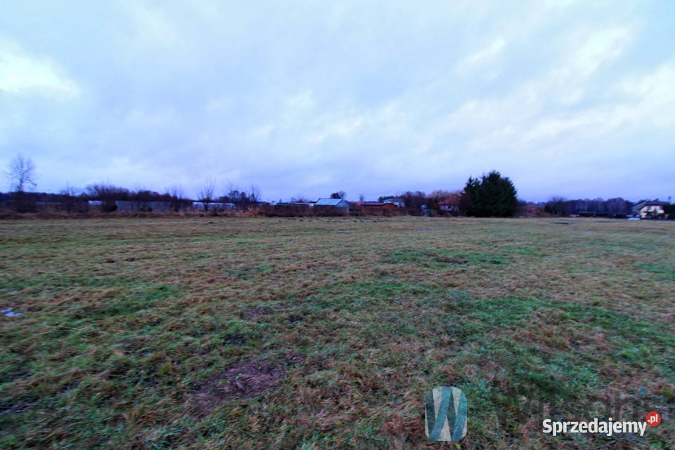 sprzedaży gruntu Topórek 3533m2