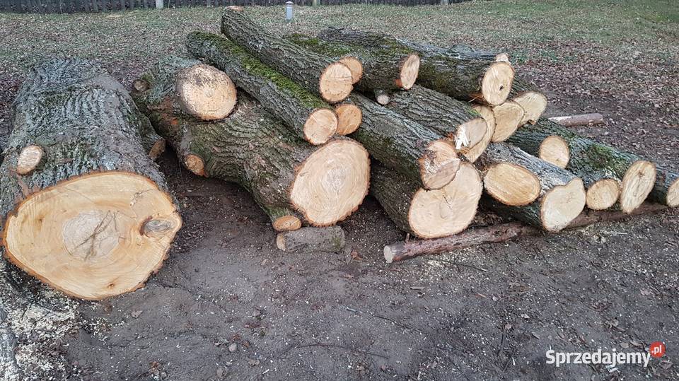 Drewno lipowe rzeźbiarzy Pozostałe