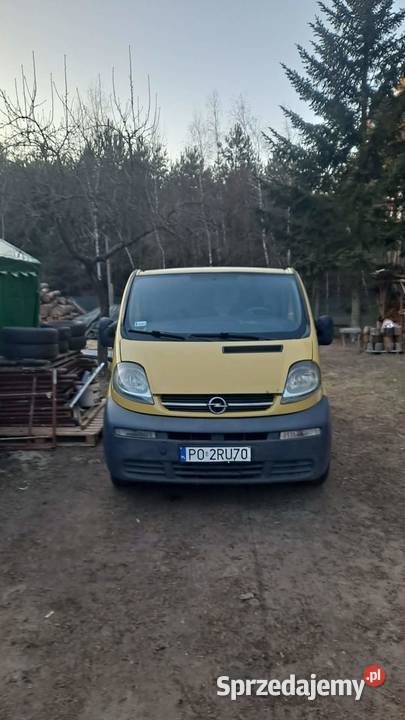 Opel Vivaro 2005 r 19 TDCi 120 sprzedam