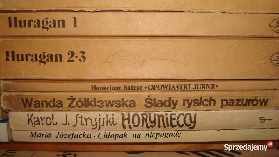 Książki literatura js Osięciny