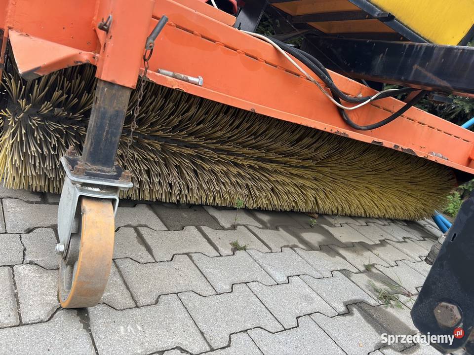 Zamiatarka zapinaną Agata Gromnik