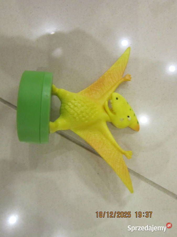 Dinozaury pieczątki dziecka Warszawa