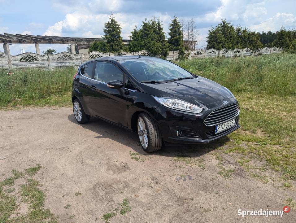 Ford Fiesta śliczna bez wkładu finansowego Fiesta wielkopolskie Turek