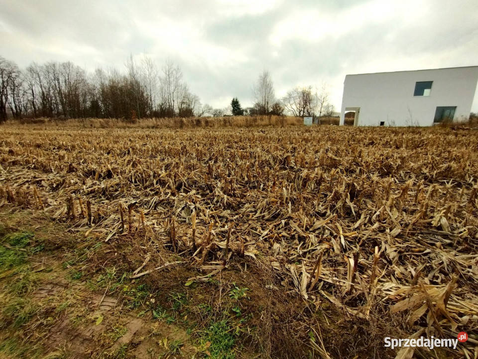 Sprzedam grunt 1700m2 PłouszowiceKolonia Płouszowice-Kolonia sprzedam