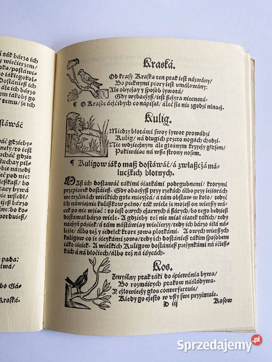 Myslistwo ptasze Reprint z 1584 r Cyganski