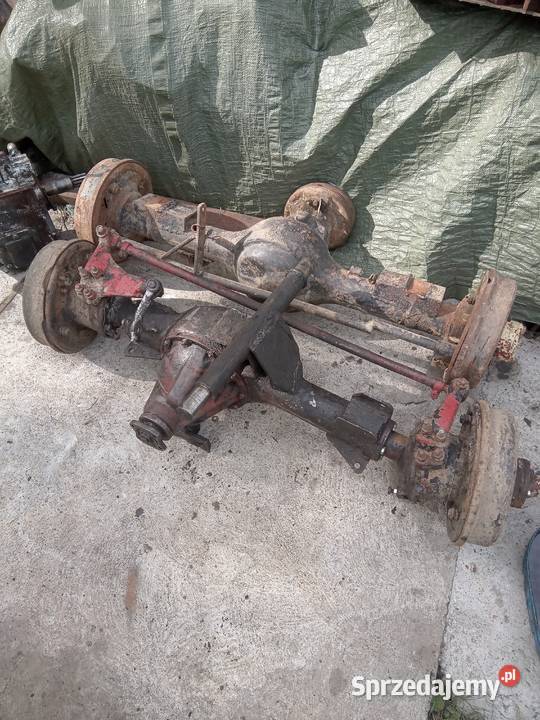 Dyfer Muscela przedni i tylnyWkład gaza małopolskie Kadcza