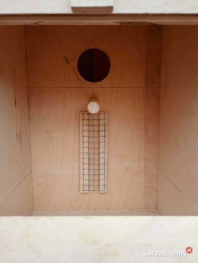 Budki lęgowe papug dolnośląskie Kamień Górowski