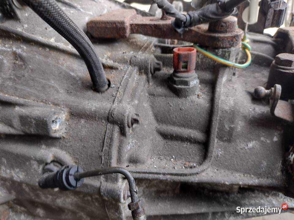 Skrzynia biegów 6 Renault Trafic II 20 dCi 114 Rok produkcji 2008 Sanok