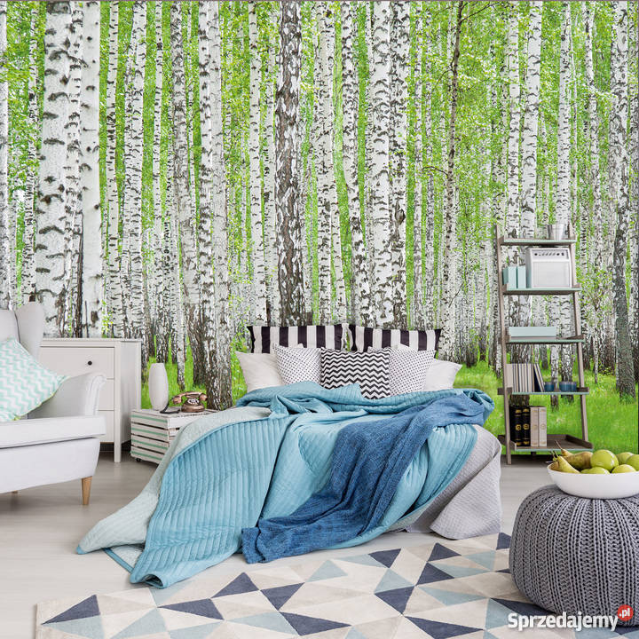 Tapeta fototapeta Las brzozowy las wewnętrzne Leszno