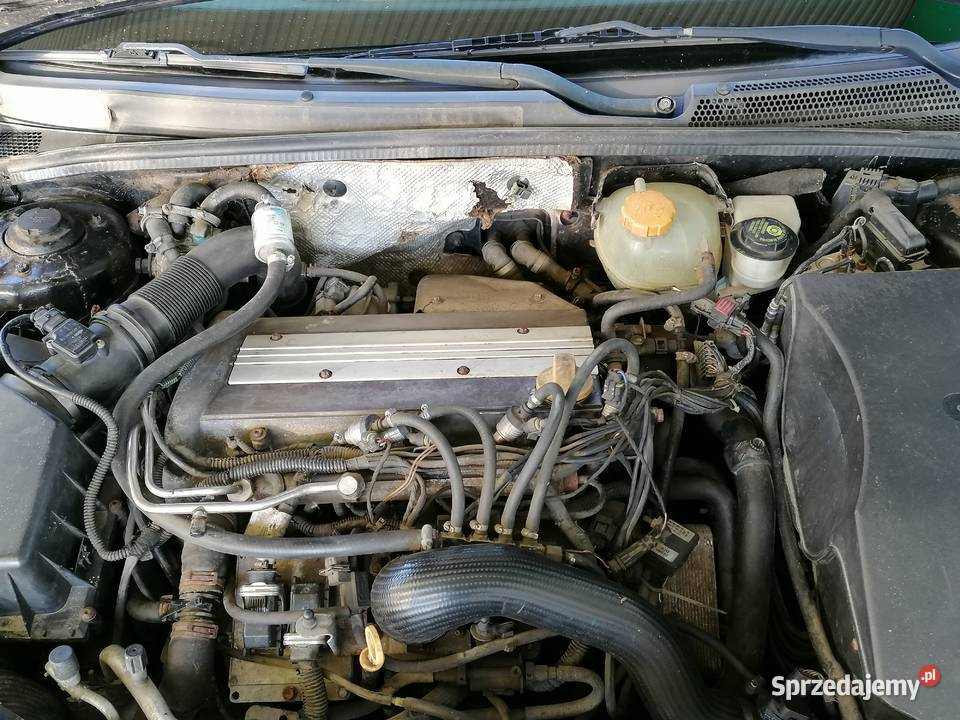 Opel Signum 20 Turbo GAZ Zarejestr Możliwa wielkopolskie Strzałkowo