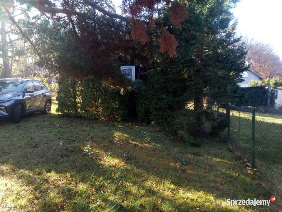 Dzialka rekreacyjna ROD Przywidza