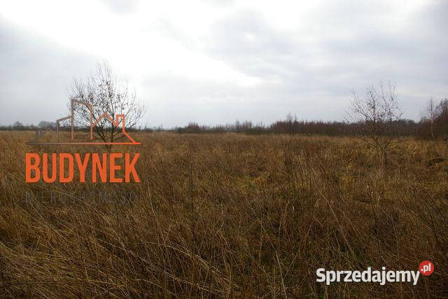 Działka rolna Darłowo 1000m zachodniopomorskie sprzedam
