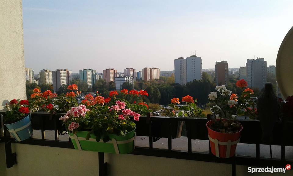 Sprzedam Mieszkanie 76m2 Bielany Warszawa Sprzedajemypl