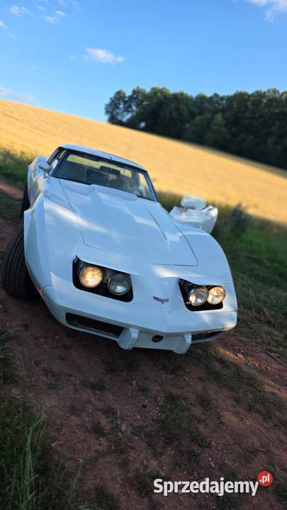 Chevrolet CCorvette 57 C3 V8 Automat 1979 Biała dolnośląskie Wałbrzych