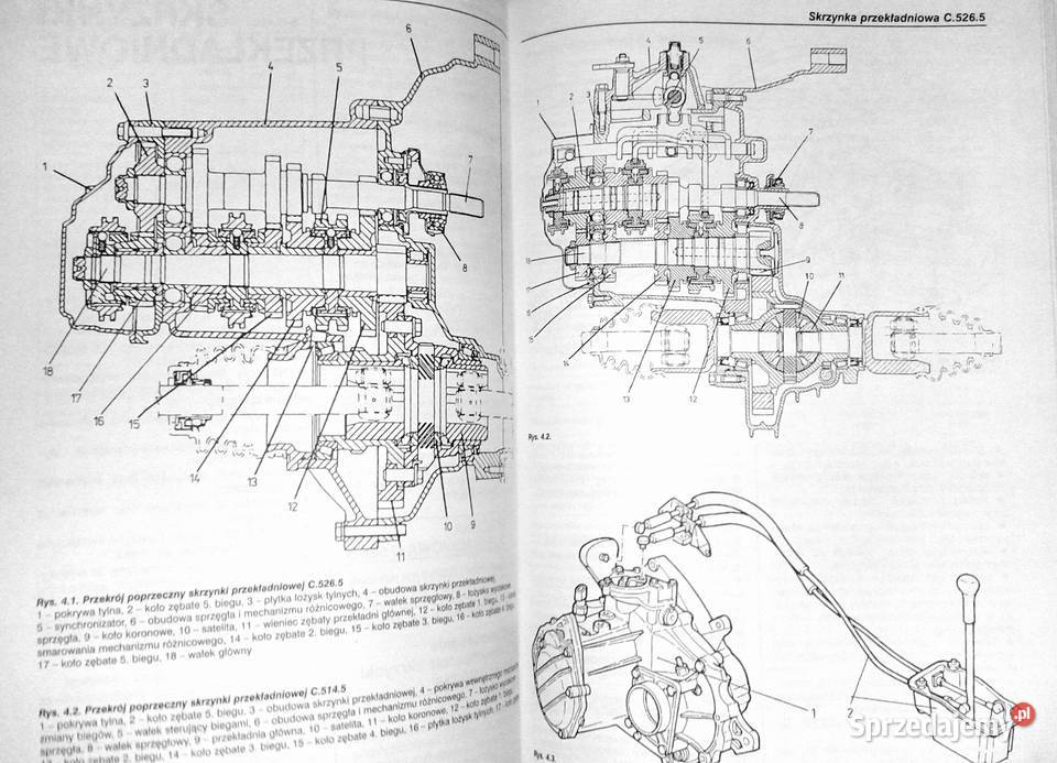 Fiat Seicento Józef Zembowicz Chełm