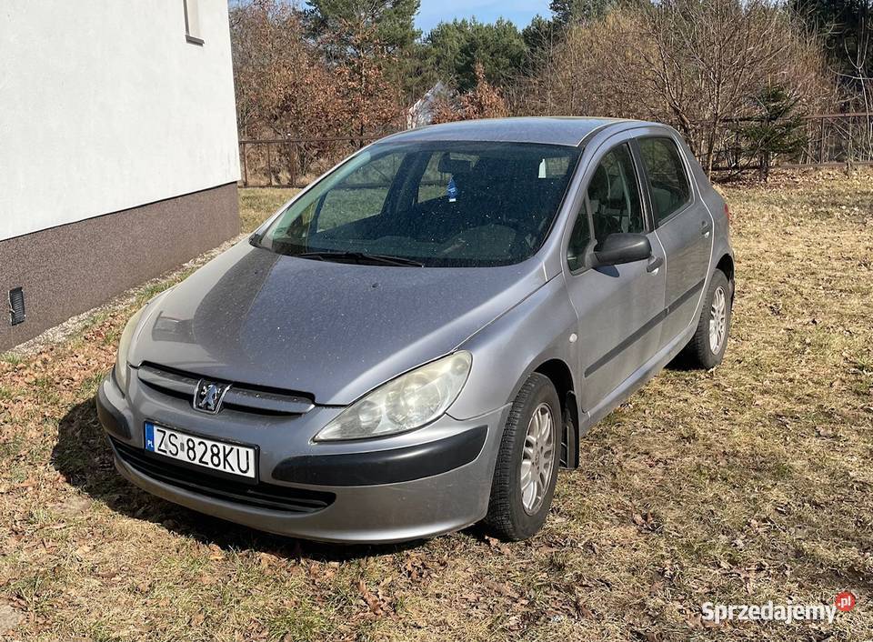 Peugeot 307 16 benzyna Rok produkcji 2003 307 Świerzno