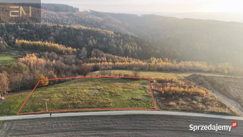 Sprzedam grunt Żarnowa 5000m2 podkarpackie