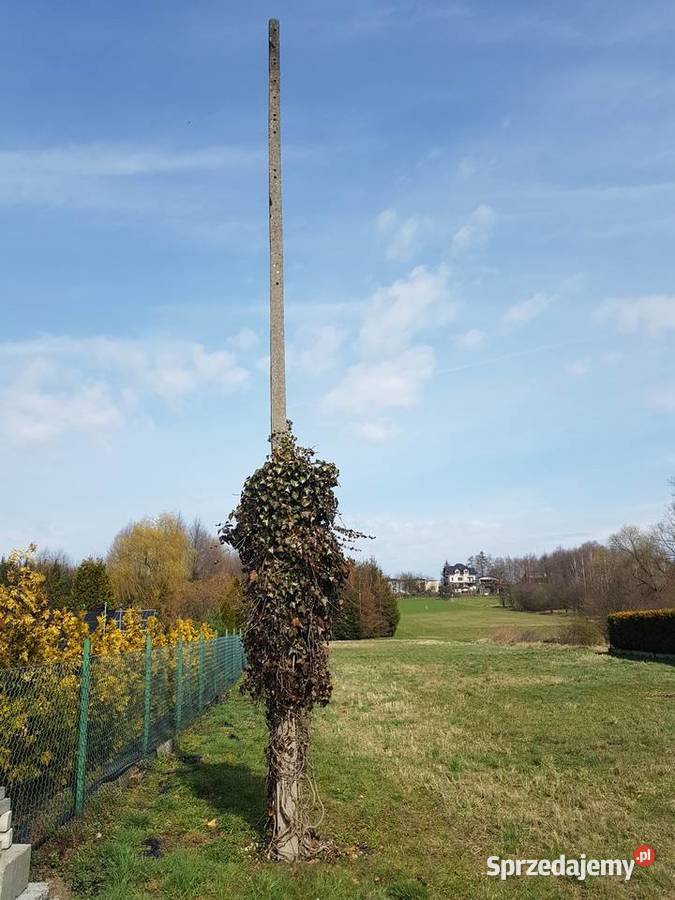 Słup energetyczny żelbetonowy śląskie Gorzyce