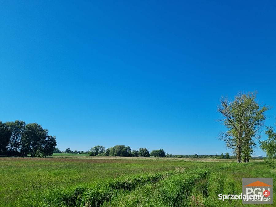 Działka Strzeżewo 14112m2 sprzedam