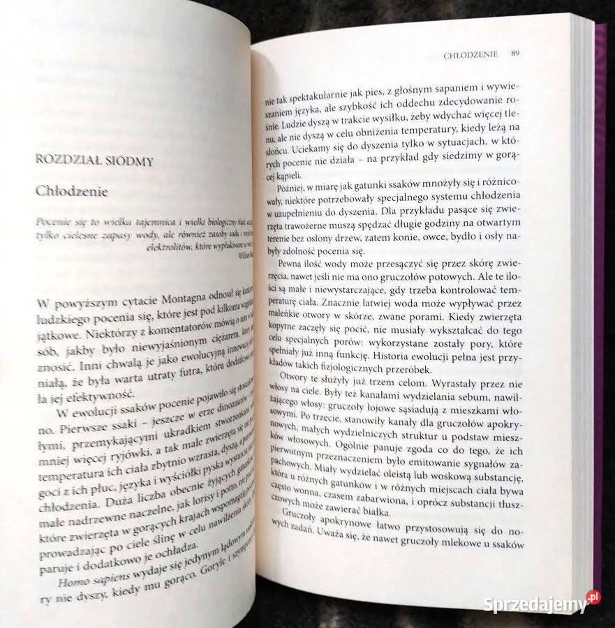 Blizny ewolucji Elaine Morgan historia, archeologia Bełchatów sprzedam