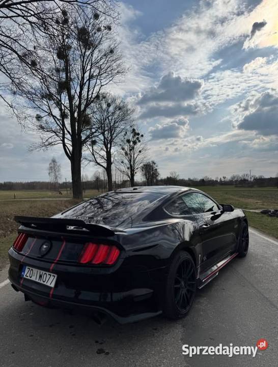 Ford Mustang 23 Ecoboost Mustang Siedliszcze