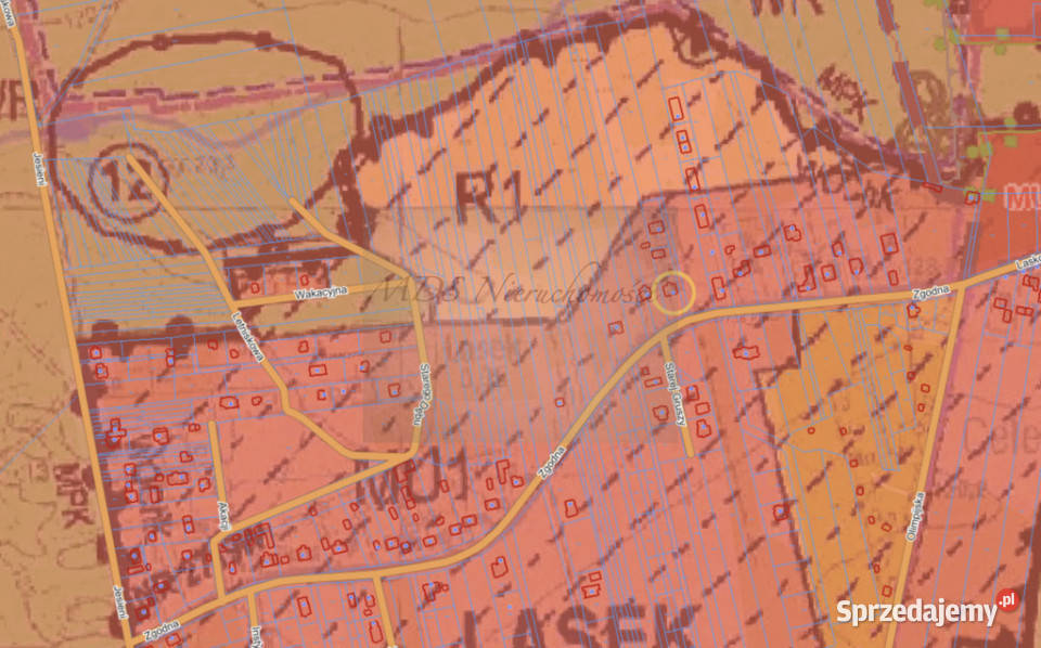 dom do remontu Lasek gm Celestynów