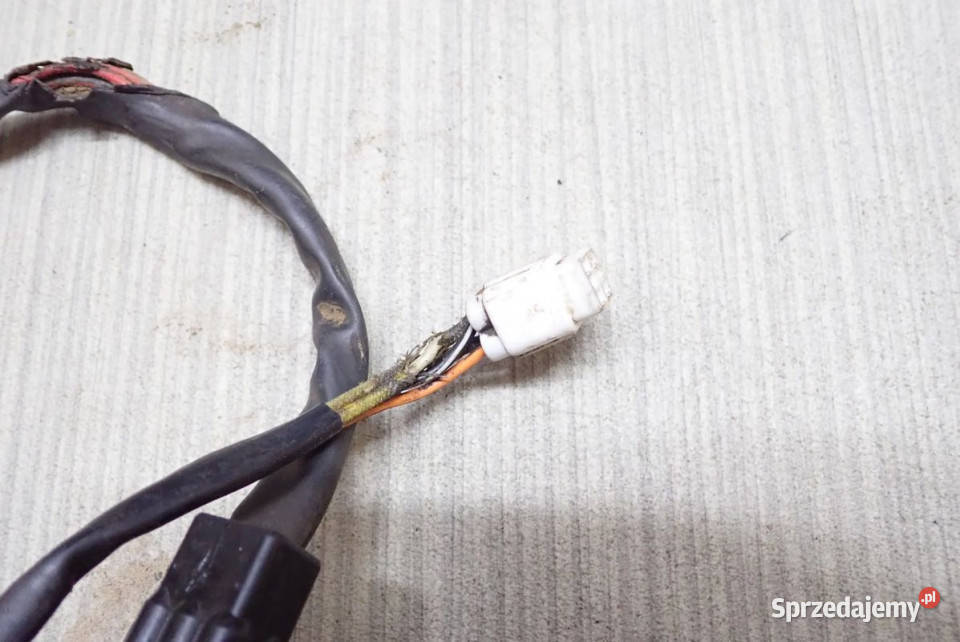 Iskrownik Impulsator Magneto Stator Uzwojenie Strzelce Krajeńskie