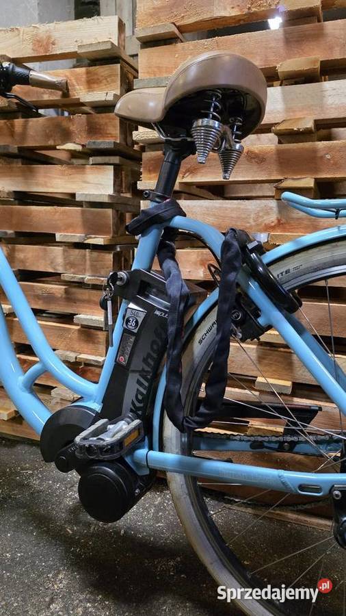 Rower elektryczny Kalkhoff serwisie i dolnośląskie Osiecznica