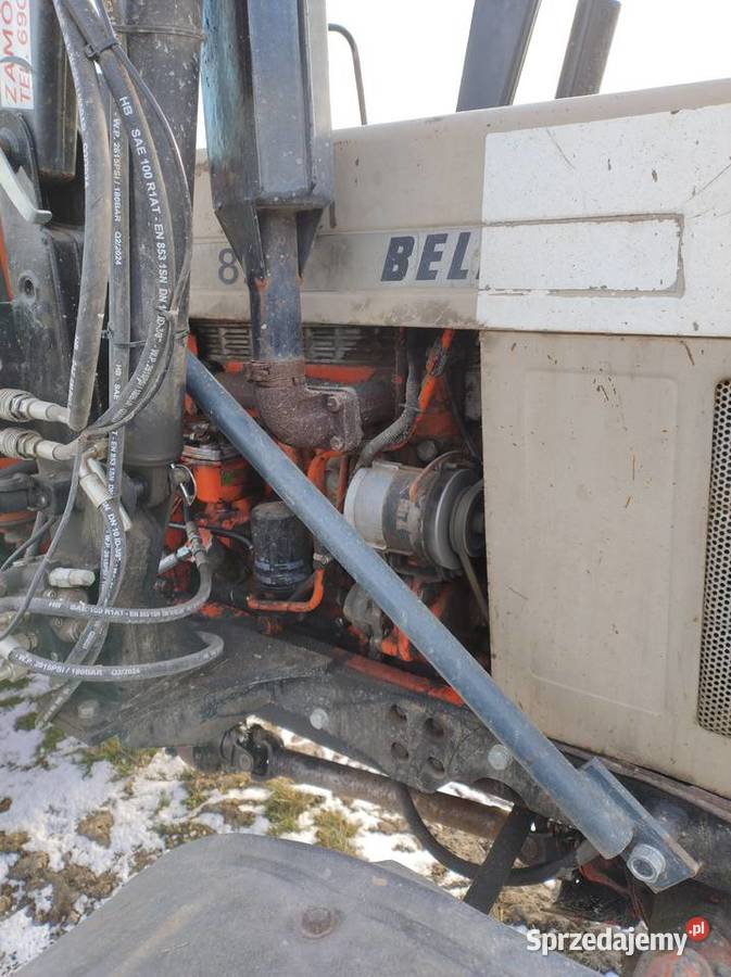 Ciągnik MTZ 82 wersja eksportowa niemcy Belarus Jędrzejów